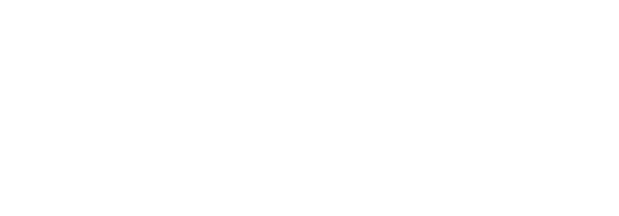 fbifest.cz